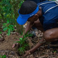 Adolescente da Comunidade do Aço na Reserva Biológica do Tinguá plantando muda de árvore nativa da Mata Atlântica