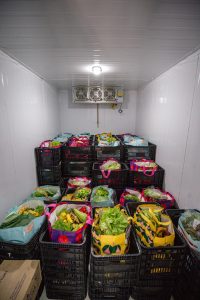 Imagem de sacolas com frutas e legumes do Banco de Alimentos da Comlurb na Cidade de Deus