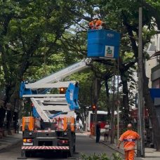 equipes trabalham no Corredores de Excelência”. Desta vez, as equipes atuaram na Rua Farme de Amoedo, em Ipanema, no trecho entre as ruas Prudente de Moraes e Barão da Torre.