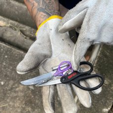 Ações da Subprefeitura da Zona Norte II já retiraram de circulação mais de 100 objetos perfurocortantes nos últimos seis meses. Trabalho permanente também acolheu e encaminhou dezenas de pessoas em situação de rua a abrigo da Prefeitura